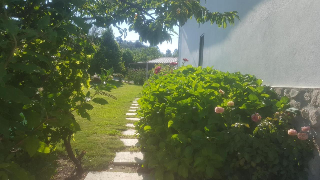 Quinta Do Serrado De Belmonte بلمونت المظهر الخارجي الصورة