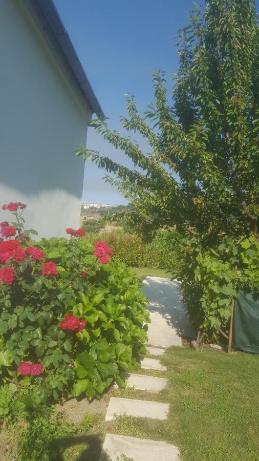 Quinta Do Serrado De Belmonte بلمونت المظهر الخارجي الصورة