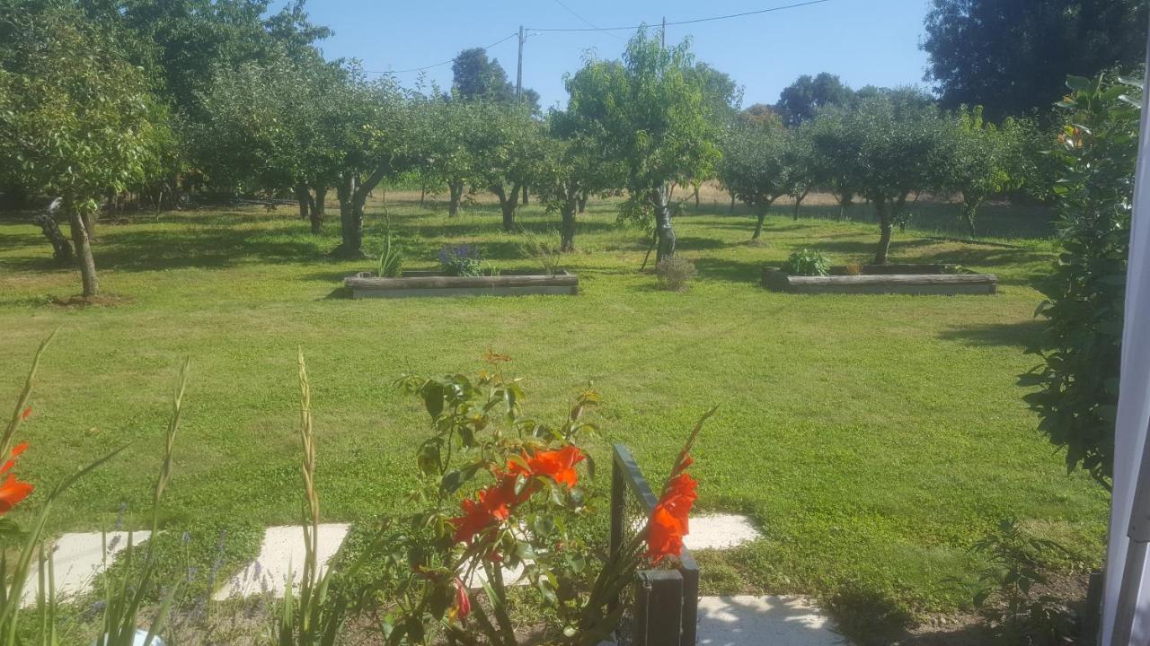 Quinta Do Serrado De Belmonte بلمونت المظهر الخارجي الصورة