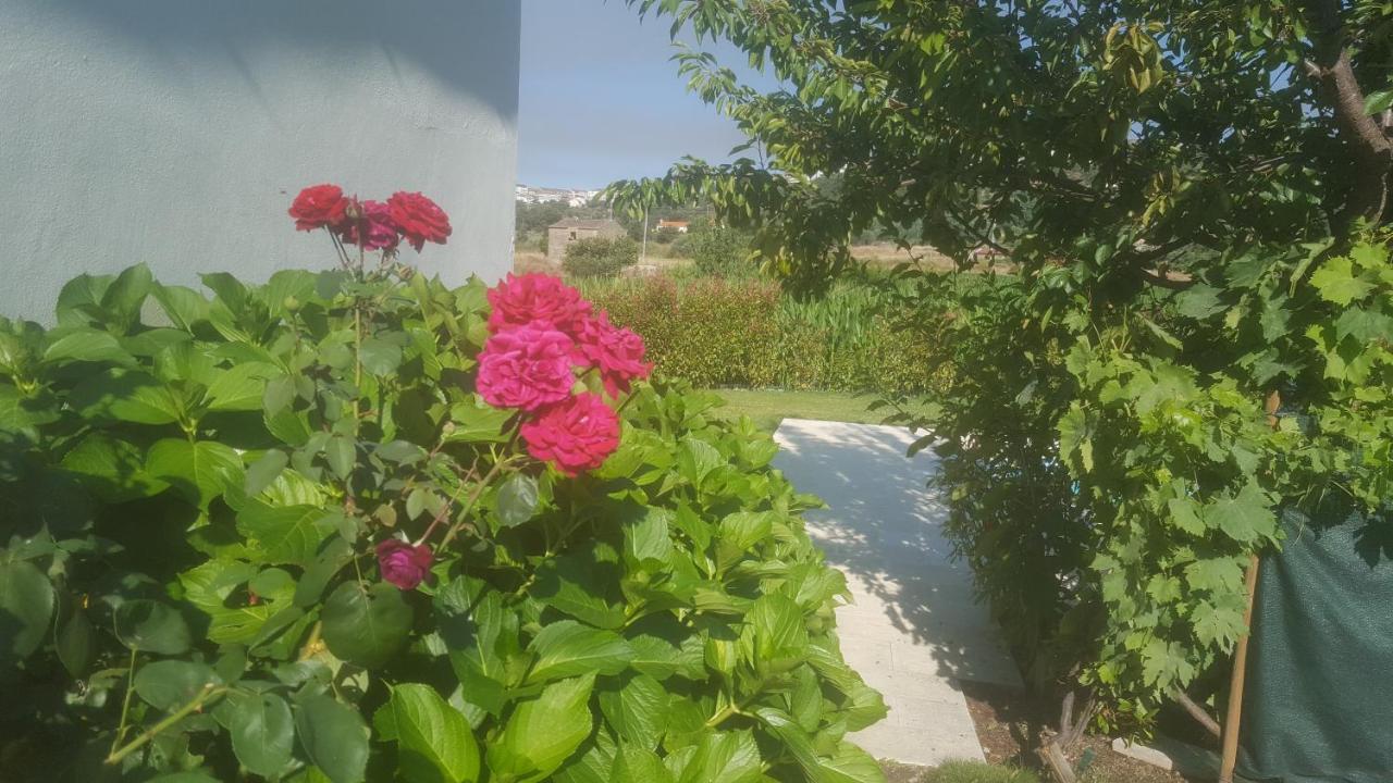 Quinta Do Serrado De Belmonte بلمونت المظهر الخارجي الصورة