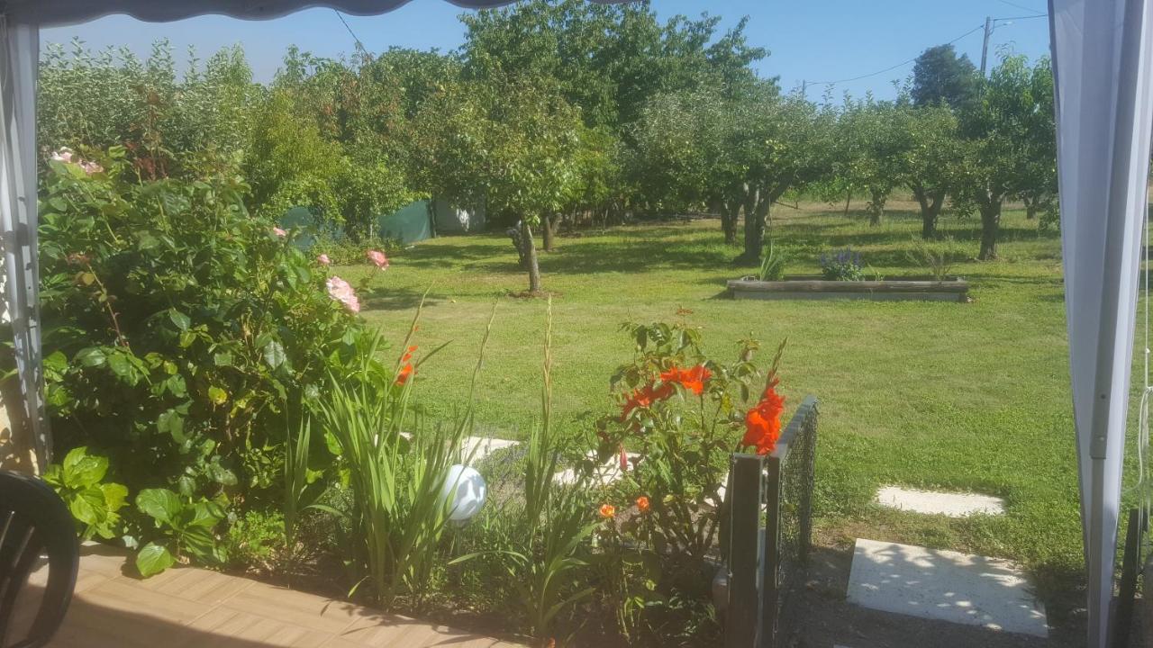Quinta Do Serrado De Belmonte بلمونت المظهر الخارجي الصورة