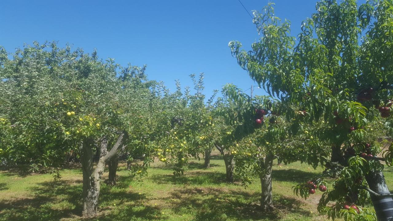 Quinta Do Serrado De Belmonte بلمونت المظهر الخارجي الصورة