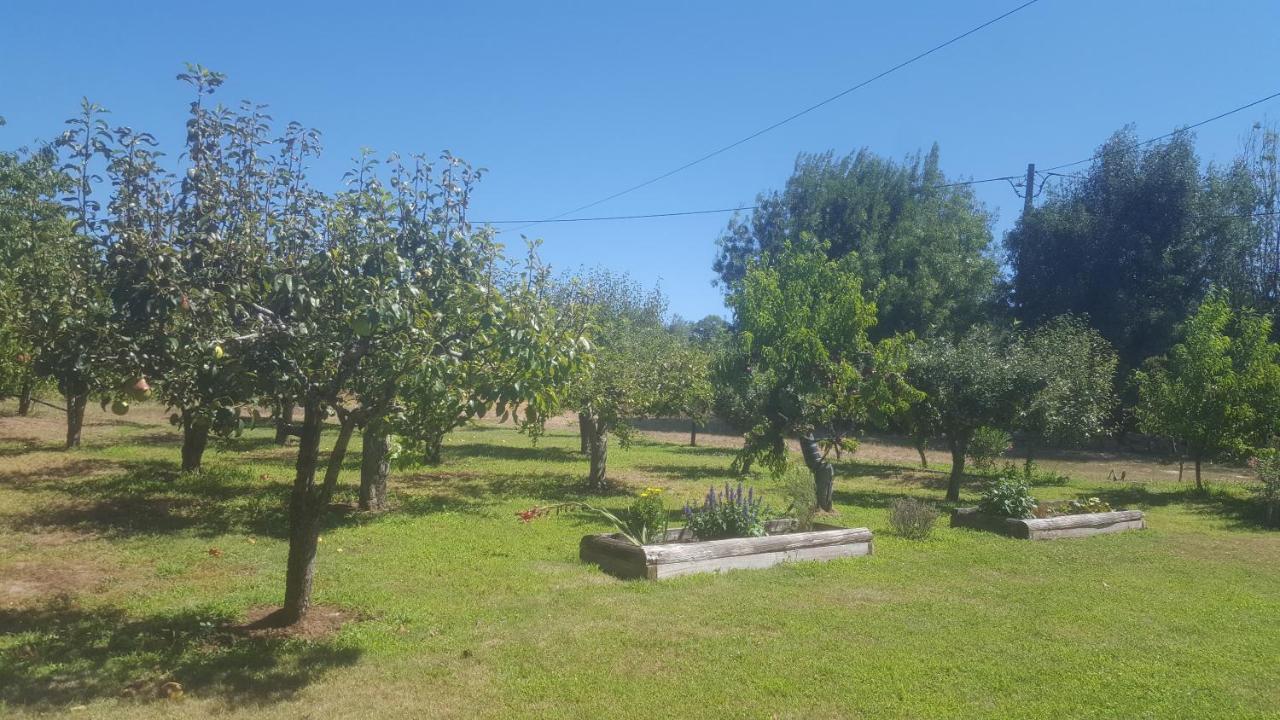 Quinta Do Serrado De Belmonte بلمونت المظهر الخارجي الصورة